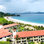 Sailing Flamingo Private Charters