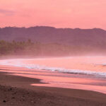 Sailing Flamingo Private Charters