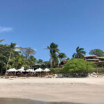 Sailing Flamingo Private Charters