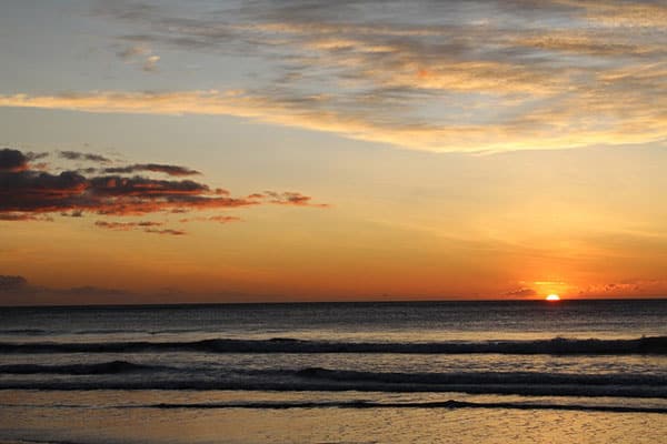 Flamingo Sunset Tour