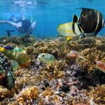 Sailing Tamarindo Guanacaste Private Charters