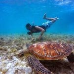 Guanacaste Morning Sailing Catamaran Tours