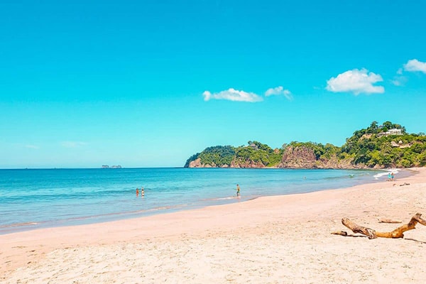 Flamingo Sailing Tours