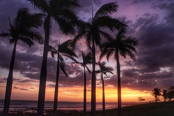 Catamaran Sailing Tours Tamarindo