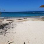 Sailing Planet Hollywood Guanacaste Private Charters