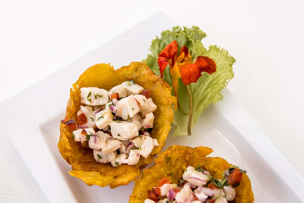 Guanacaste Premium Sailing Catamaran Tours