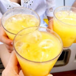 Serendipity Guanacaste Sailing Tours